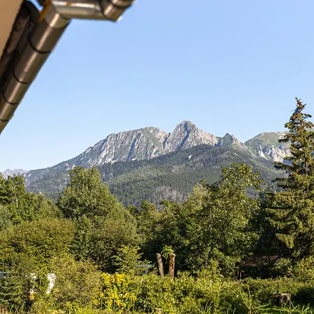 Topor Rodzinny Z Kominkiem I Placem Zabaw Zakopane アパート コシチェリスコ