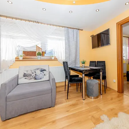 Topór Rodzinny Z Kominkiem I Placem Zabaw Zakopane Apartament