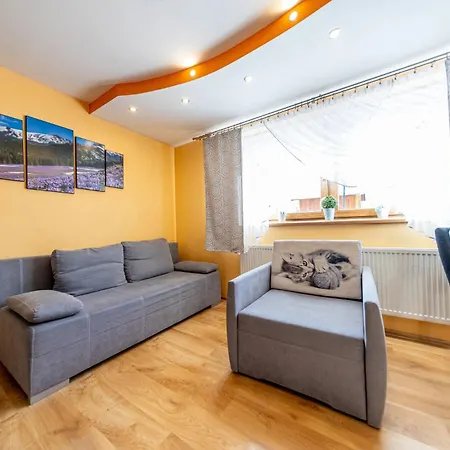 Topór Rodzinny Z Kominkiem I Placem Zabaw Zakopane Apartament Kościelisko
