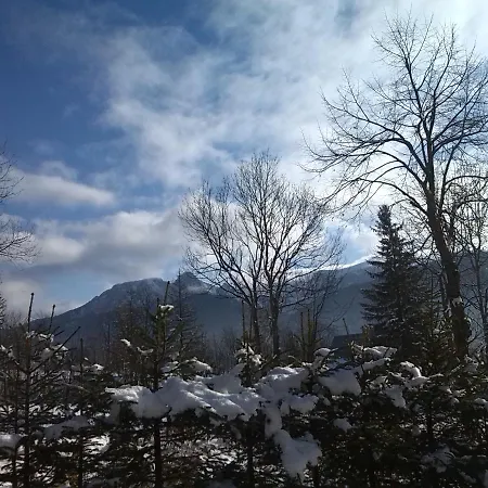 Topór Rodzinny Z Kominkiem I Placem Zabaw Zakopane * Kościelisko